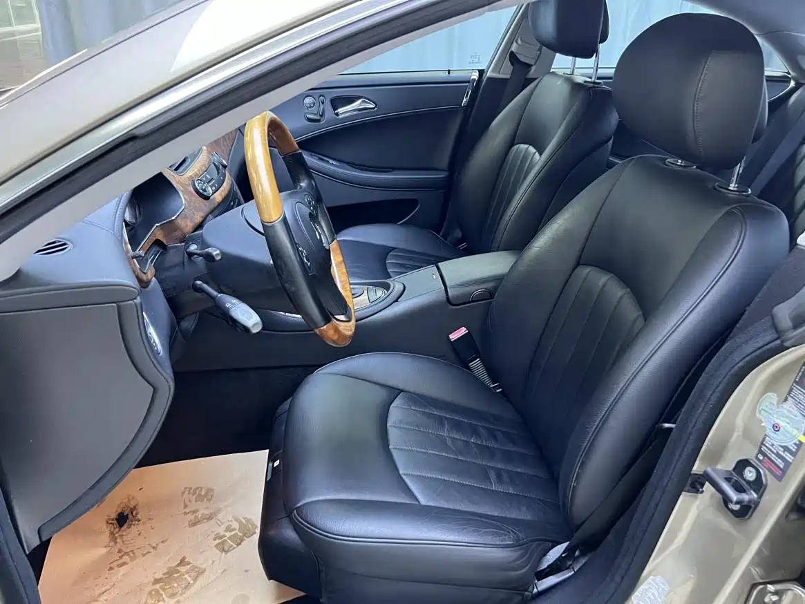 Mercedes-Benz CLS 2010 2009 CLS 300