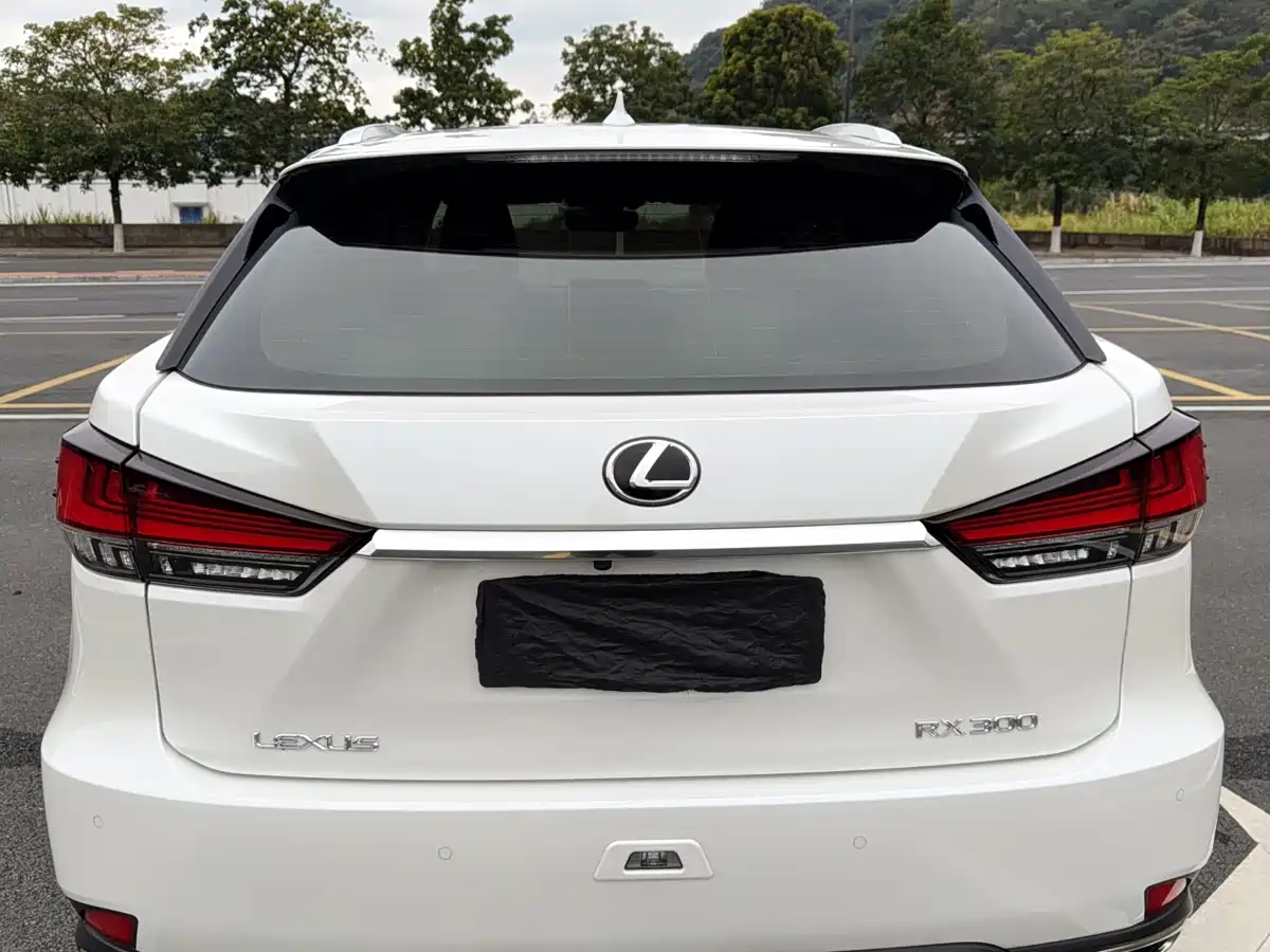 LEXUS RX