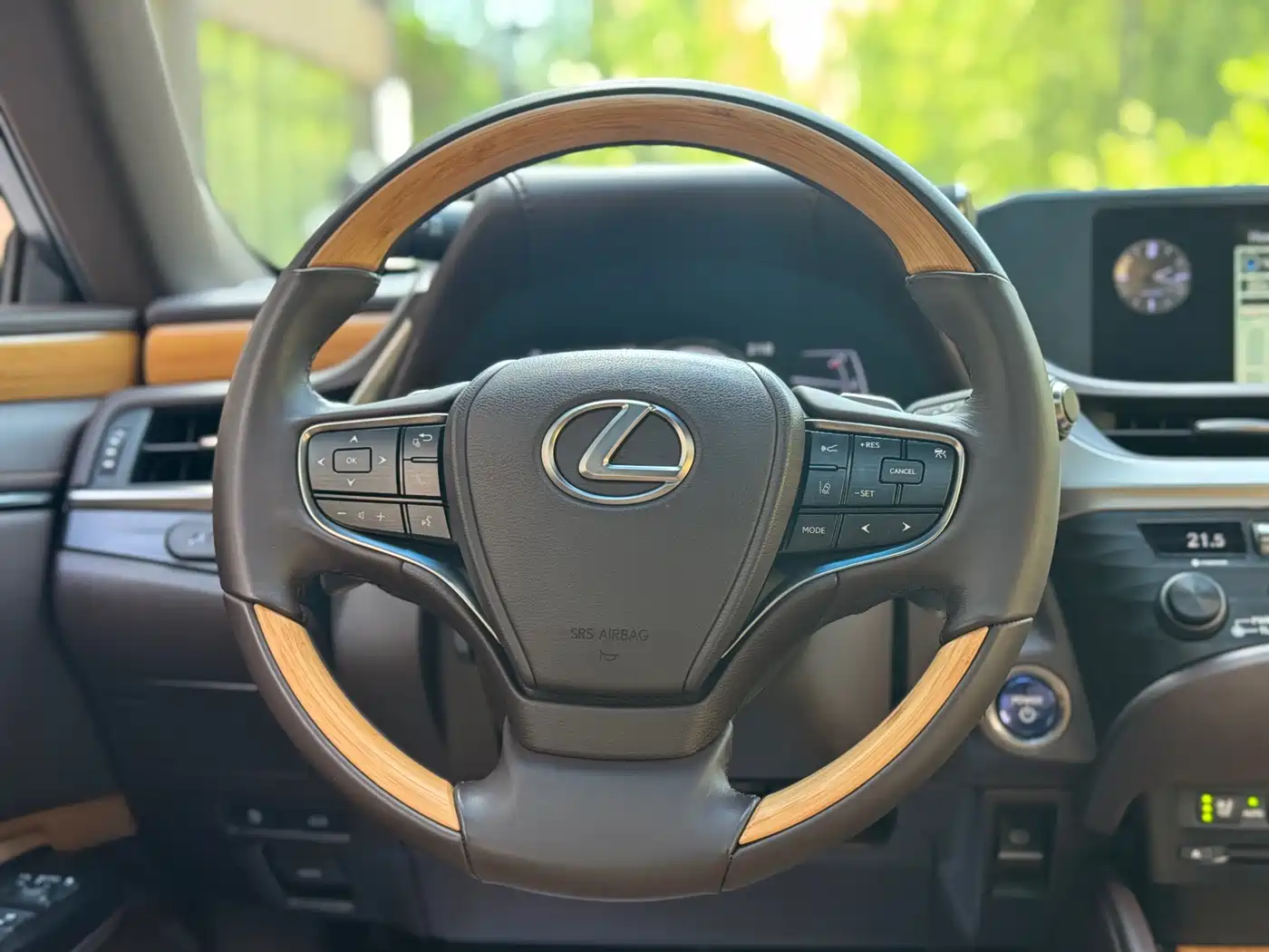 Lexus ES 2018 300h Premium Edition China V фото 15