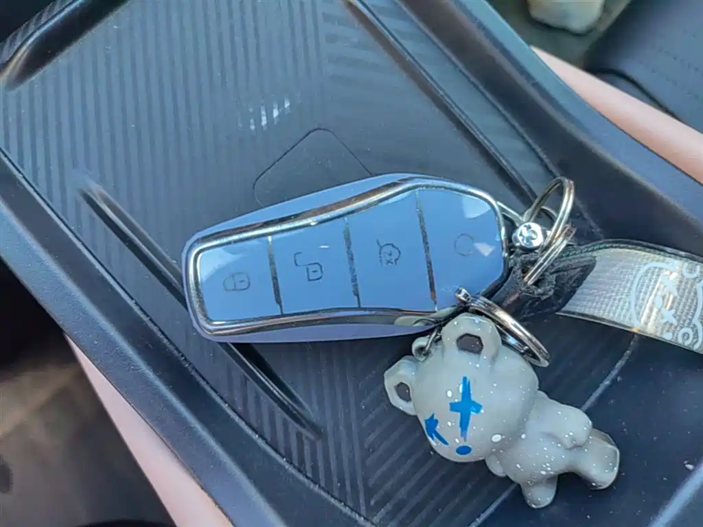 BYD Seagull 2024 Glory Edition 405km Soaring Edition фото 9