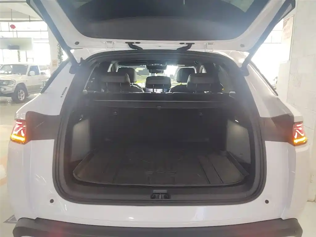 BYD Song L DM-i 2025 Smart Drive Edition 112km Surpassing фото 19