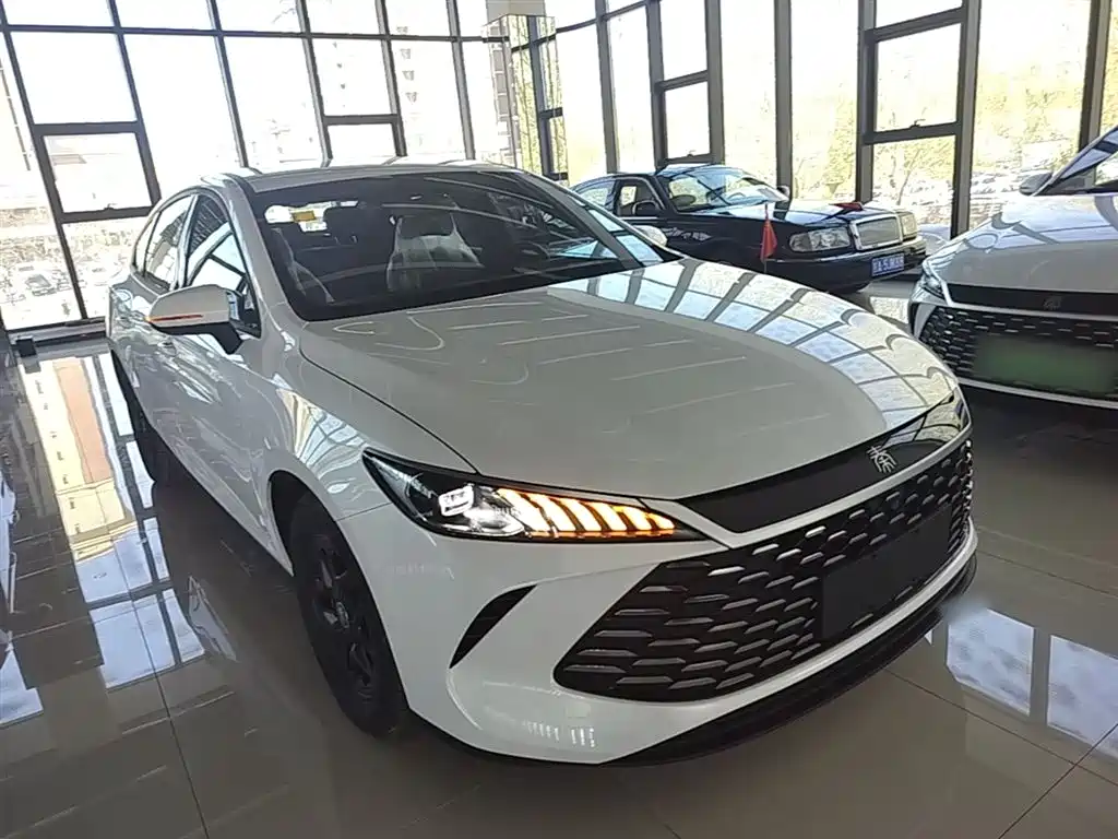 BYD Qin PLUS 2025 DM-i Smart Drive 55KM Leader фото 4
