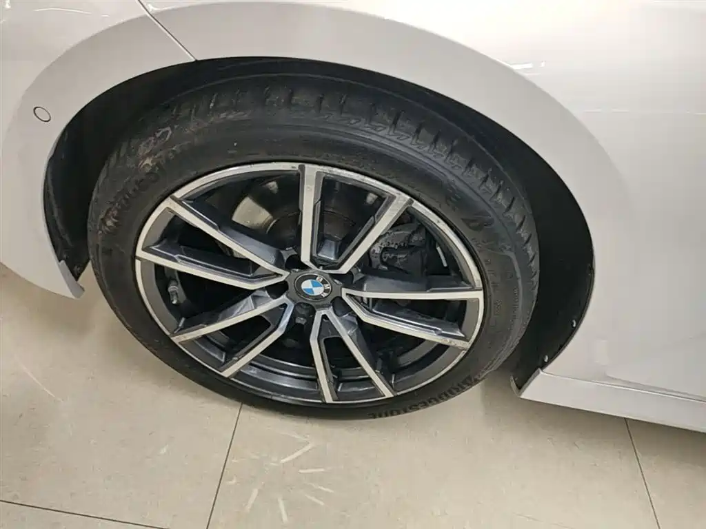 BMW 3 Series 2020 325Li xDrive M Sport Package фото 23