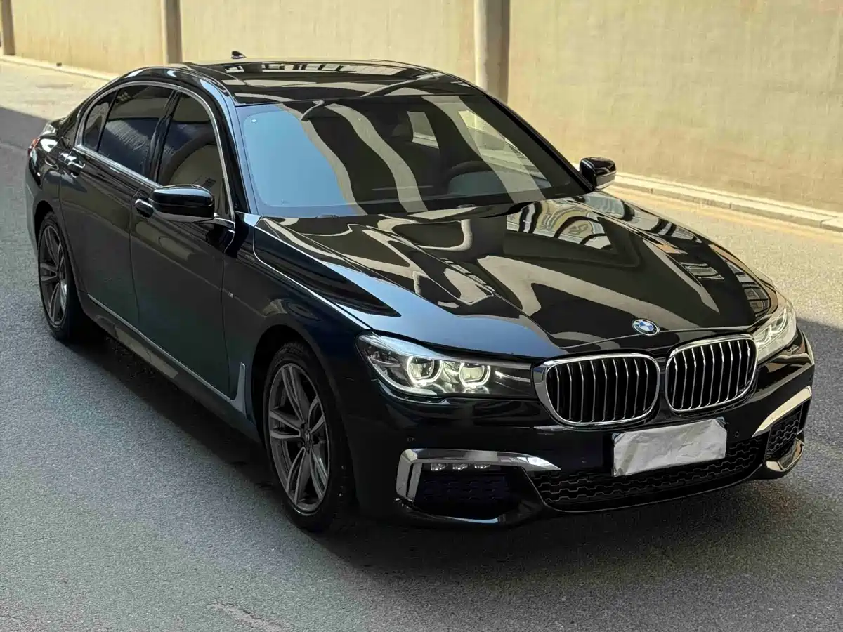 BMW 7 Series 2018 730Li Leading Type M Sport Package фото 3