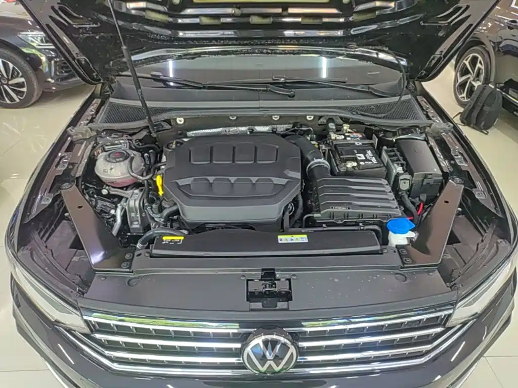 Volkswagen Magotan 2026 2026 Model 30 Million Special Selection 380TSI DSG Luxury
