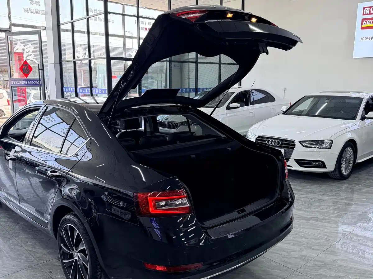 Škoda Octavia 2019 TSI280 DSG Smart Drive Luxury Edition China VI фото 12