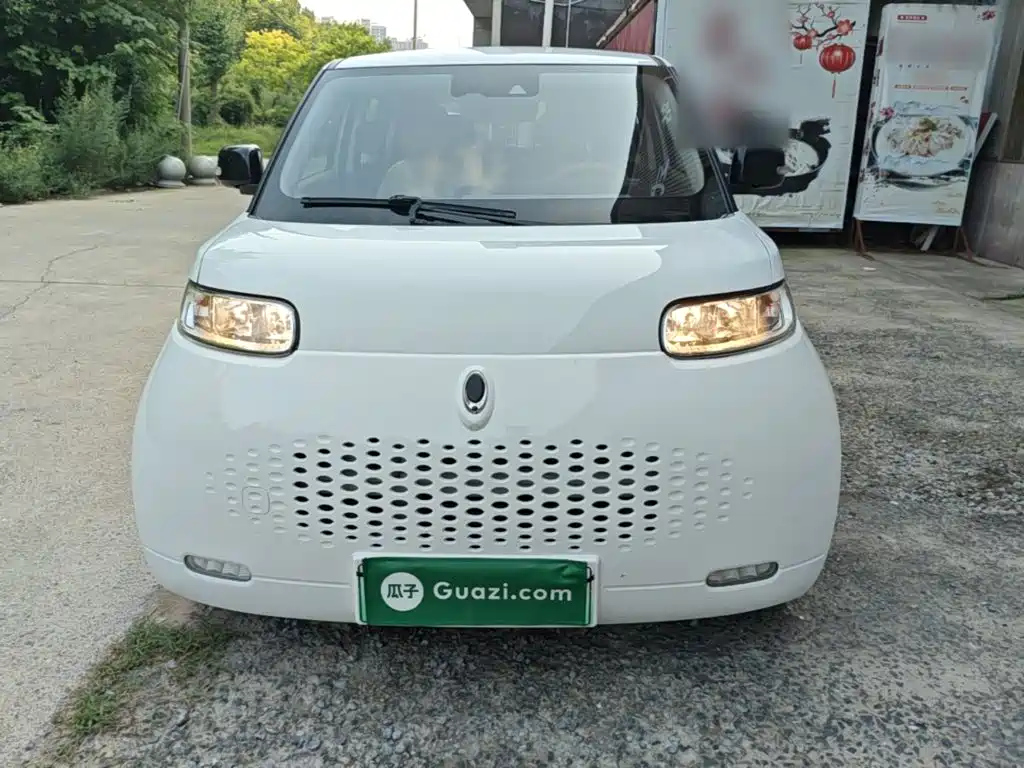 Ora White Cat 2021 2020 401km Flagship Model