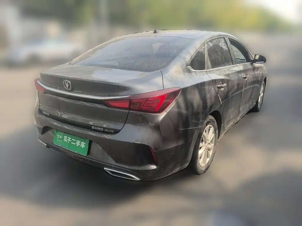 Фото 6 - Changan Eado