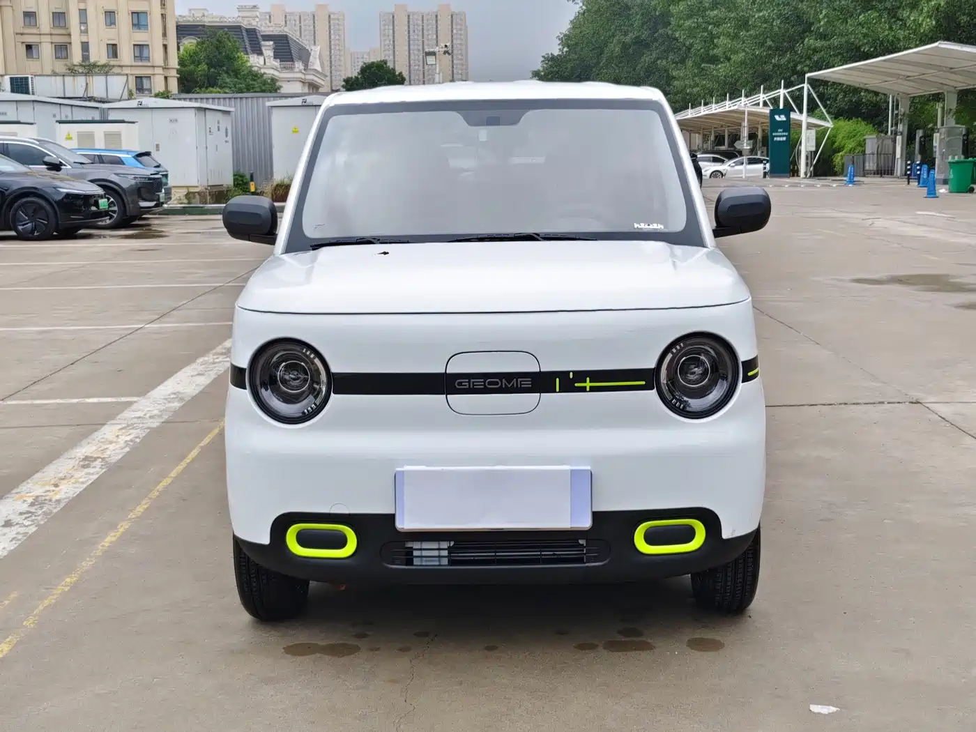 Geely Galaxy Panda 2026 2025 Panda mini 210km Vitality Bear