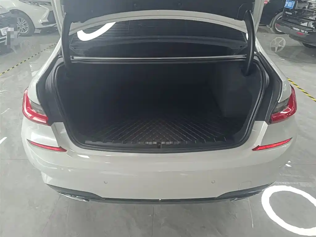 BMW 3 Series 2021 325Li M Sport Package фото 19