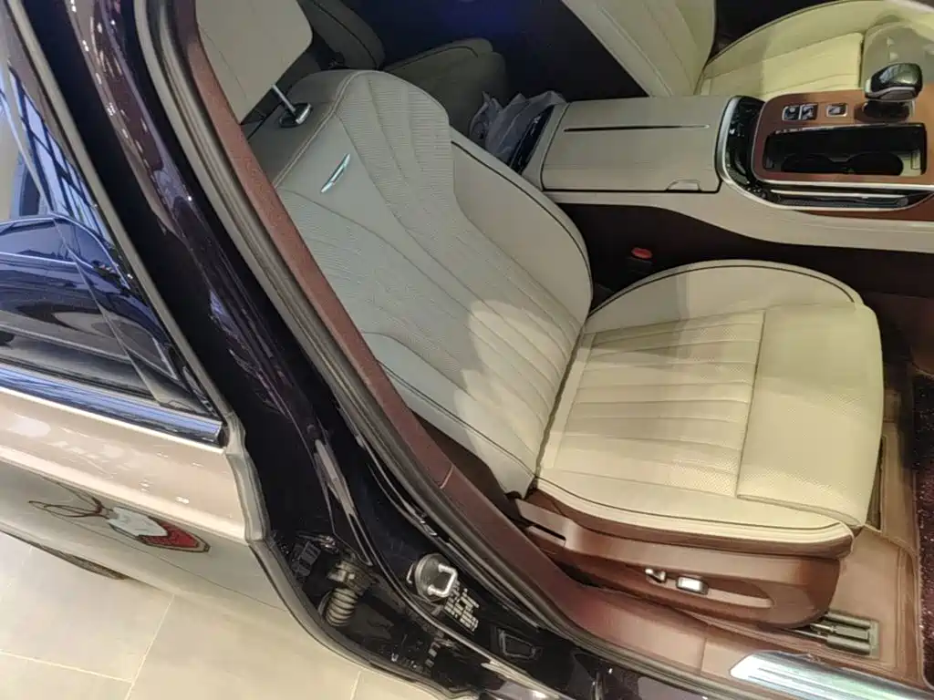 Фото 20 - Hongqi H9