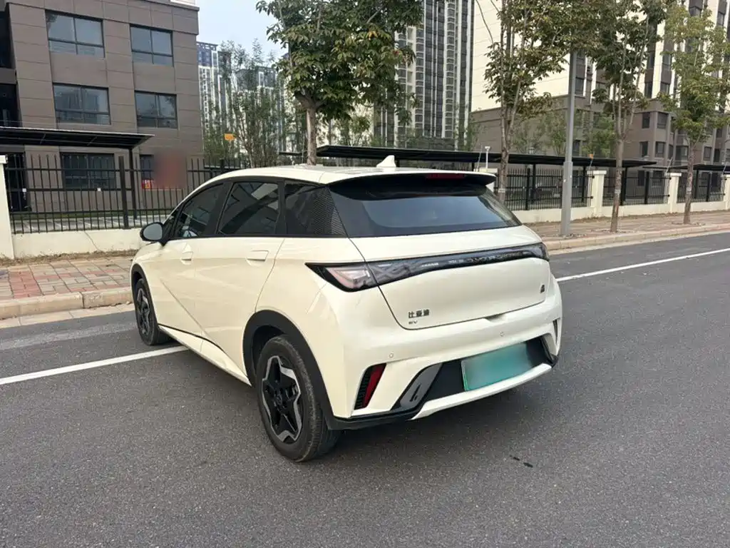 BYD Dolphin 2022 2021 405km Freedom Edition