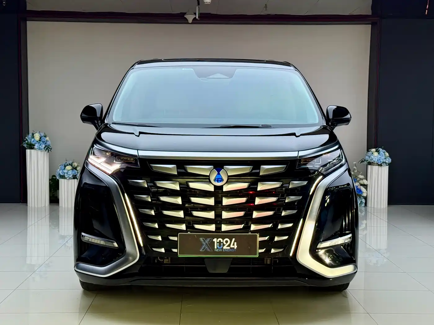 Denza D9 2024 DM-i 980 AWD Prestige фото 2