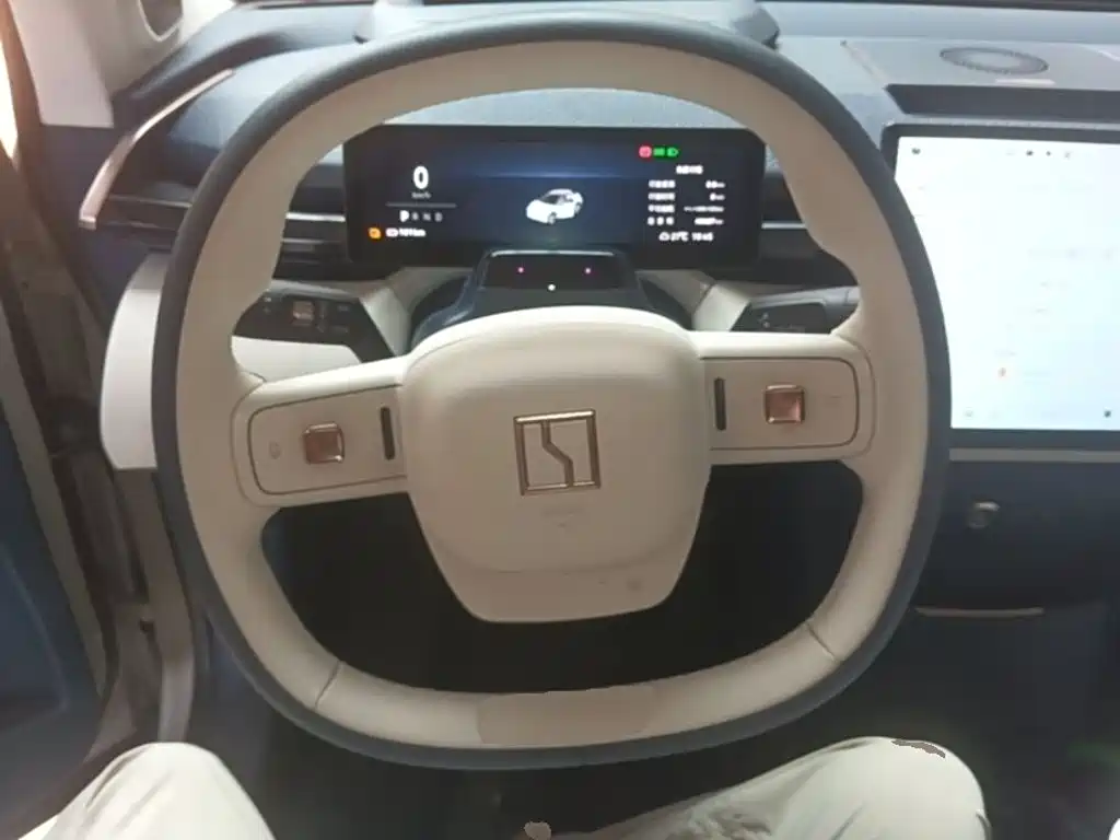 ZEEKR X 2024 2025 5-Seater Long Range Edition