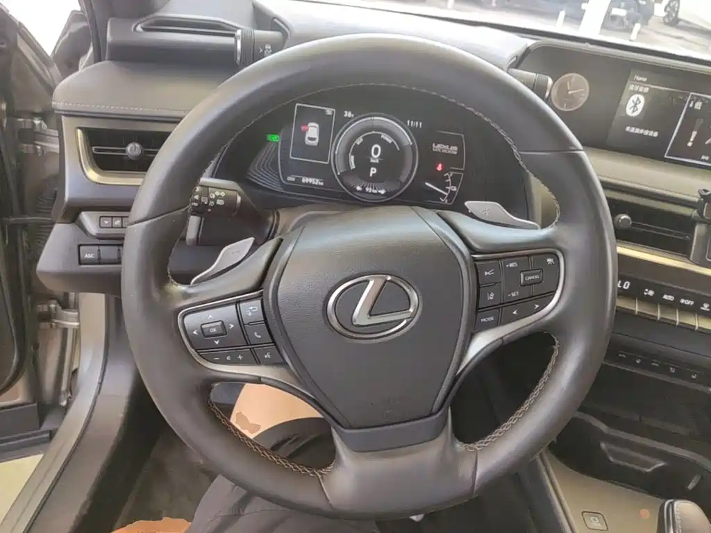 Lexus UX Electric 2021 2020 300e Pure Yue Edition