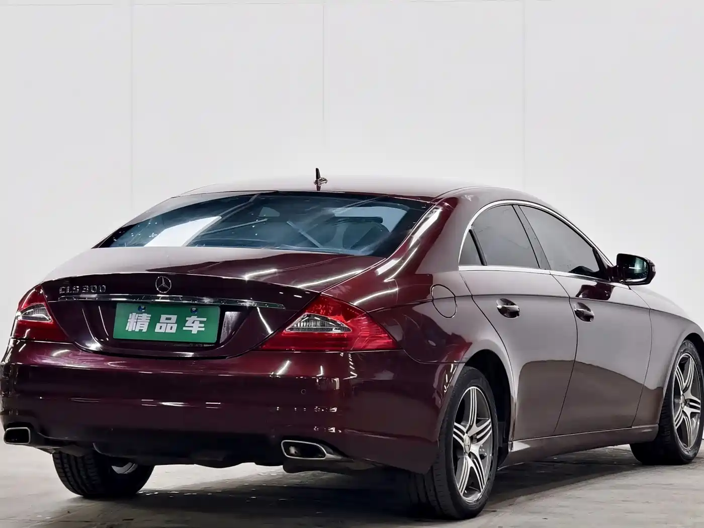 Mercedes-Benz CLS 2009 CLS 300 фото 4