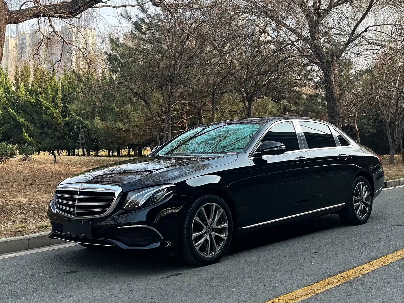 Mercedes-Benz E-Class 2019 E 300 L Fashion