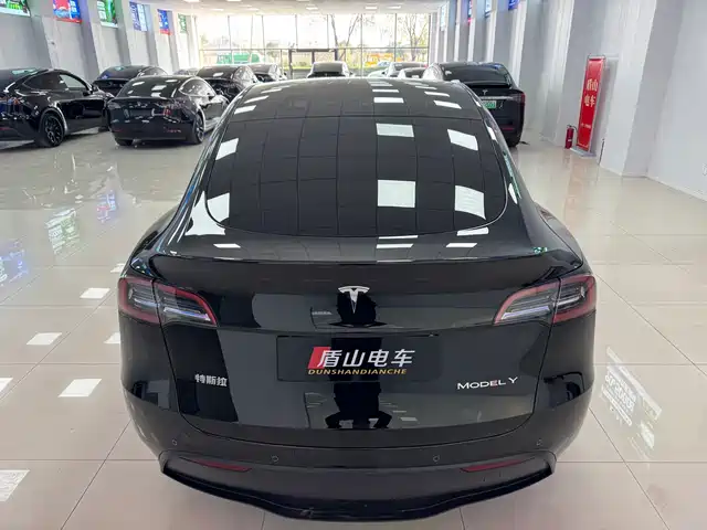 Tesla Model Y 2023 Rear-Wheel Drive Edition — фото 5