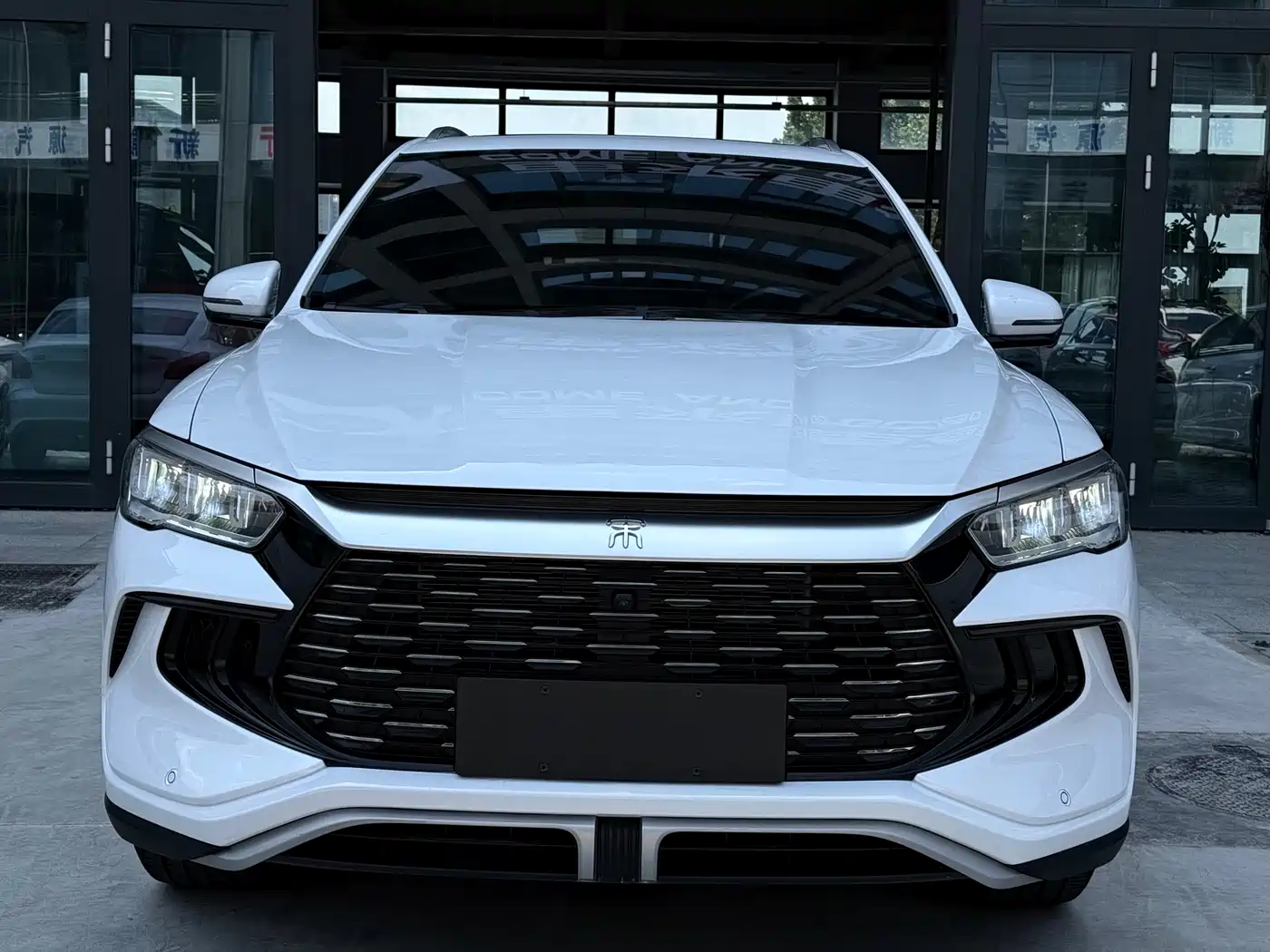 BYD Song Pro New Energy 2024 Glory Edition DM-i 110KM Excellence