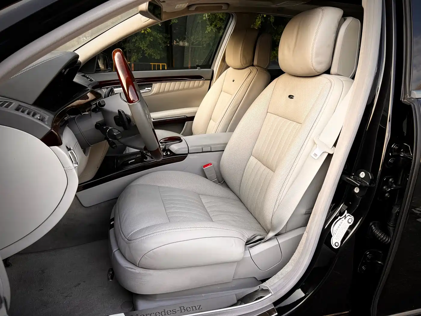 Mercedes-Benz S-Class 2010 S 600 L фото 8
