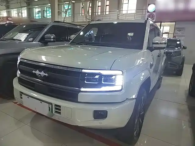 BYD LEOPARD 5