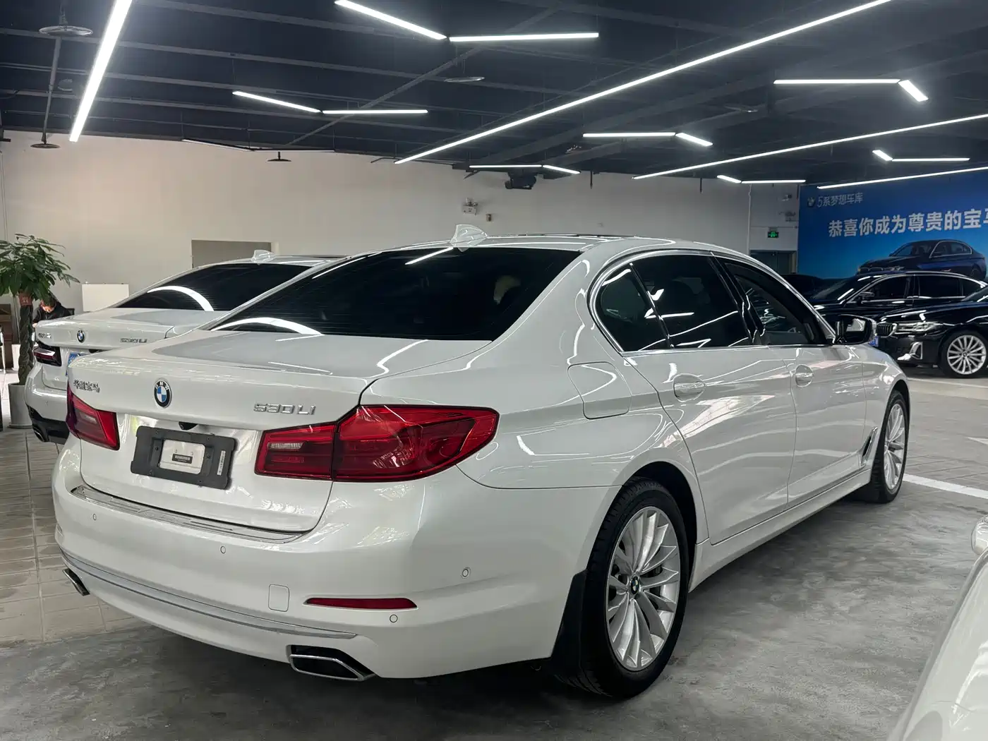 BMW 5 Series 2019 530Li Premium Luxury Package фото 4