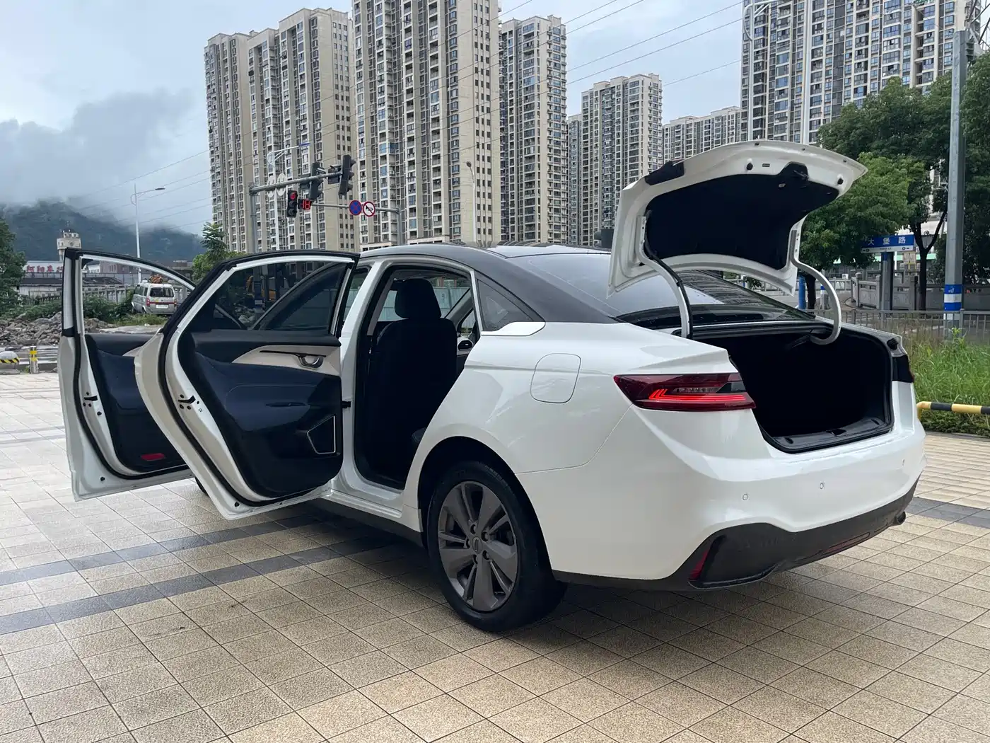 Geely Geometry A 2021 2021 Pro Premium Long Range 600KM A600 Asian Games Edition