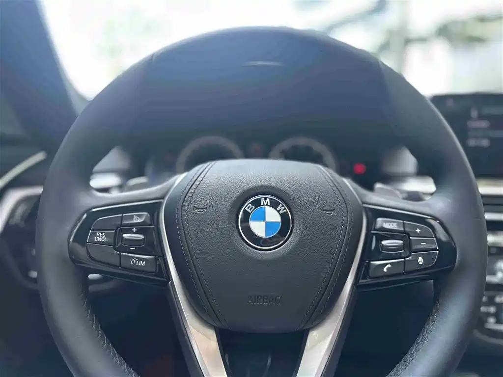 BMW 5 Series 2018 530Li Leading M Sport Package фото 22