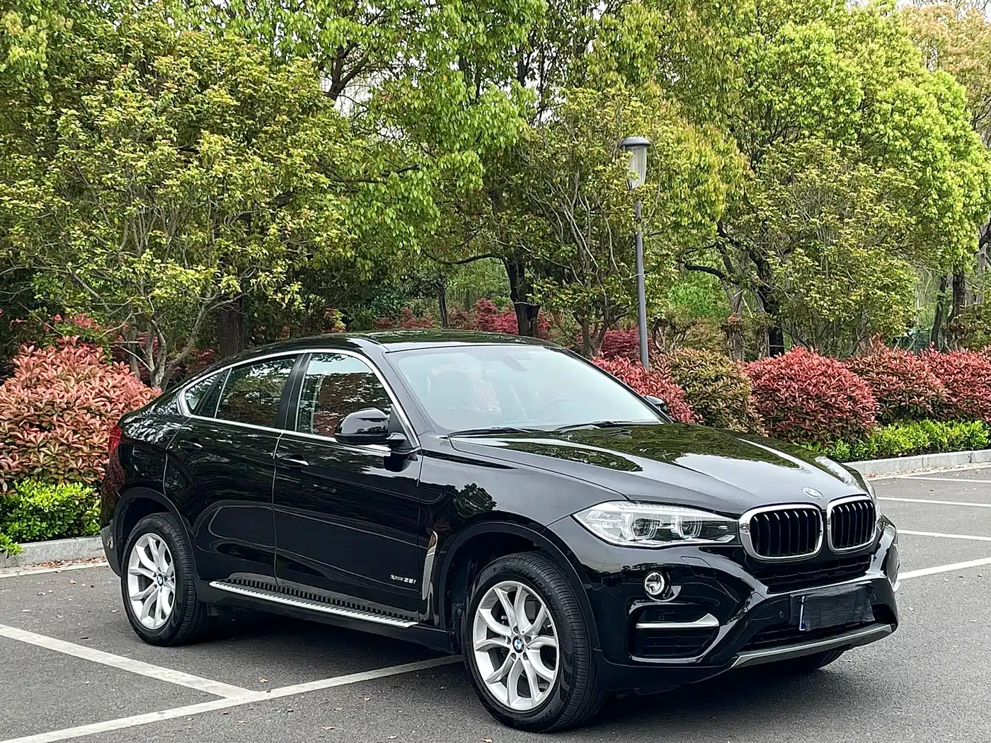 BMW X6 2017 xDrive35i Leading фото 3