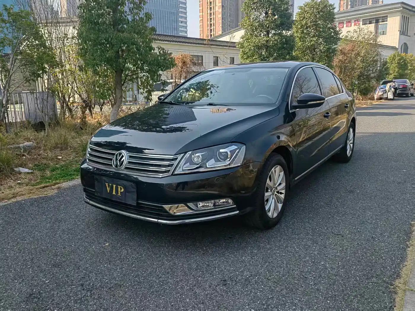 Volkswagen Magotan 2013 1.8TSI Luxury