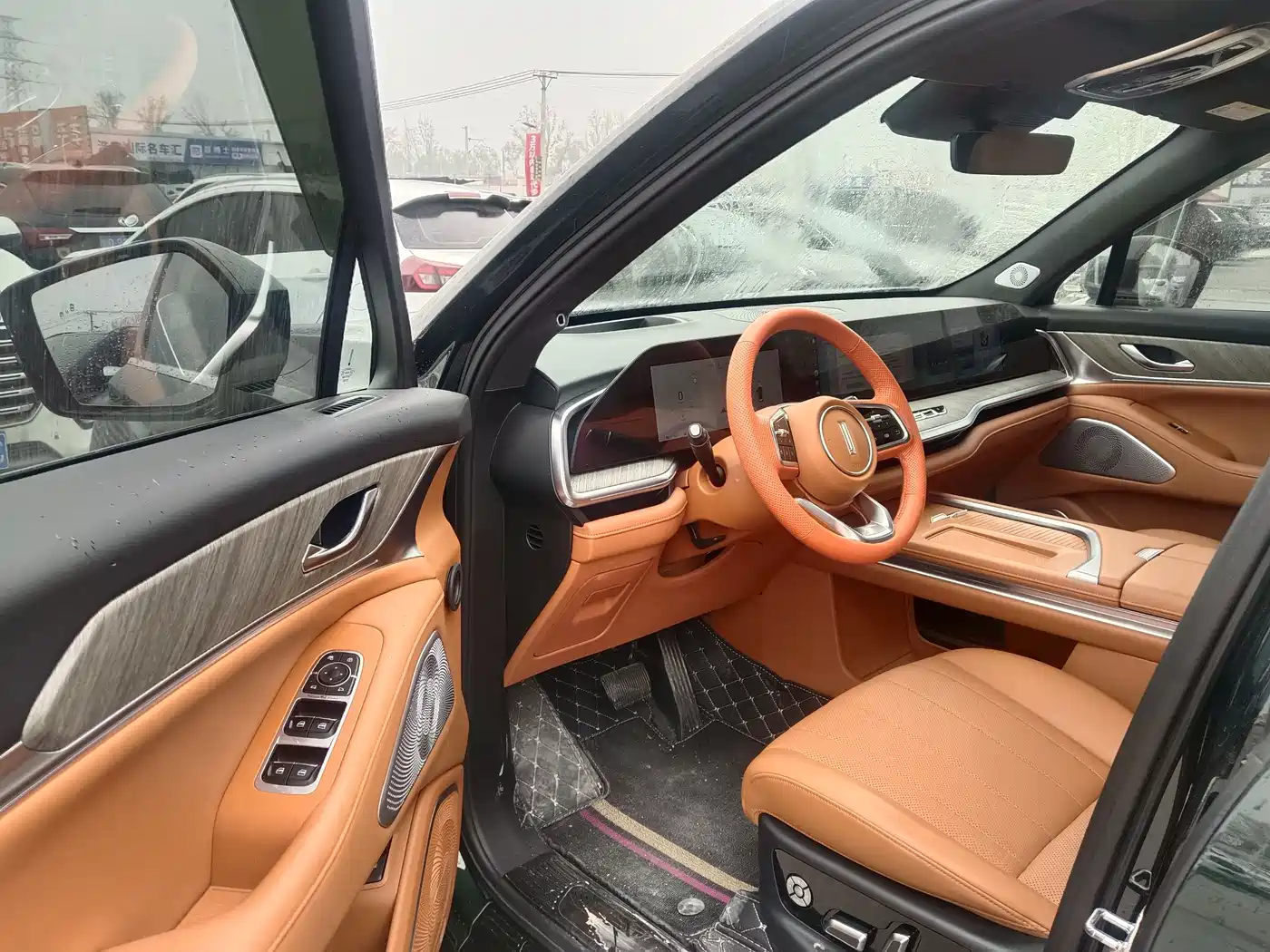 WEI PAI WEI BRAND BLUE MOUNTAIN