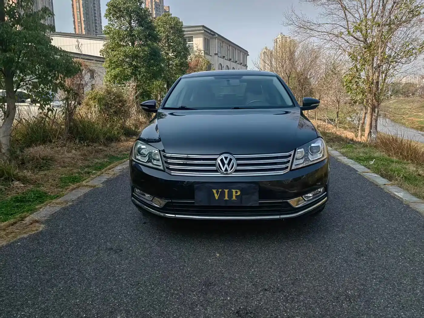 Volkswagen Magotan 2013 1.8TSI Luxury фото 3