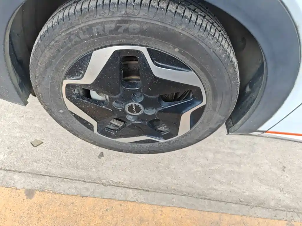 BYD Dolphin 2021 2021 405km Freedom Edition