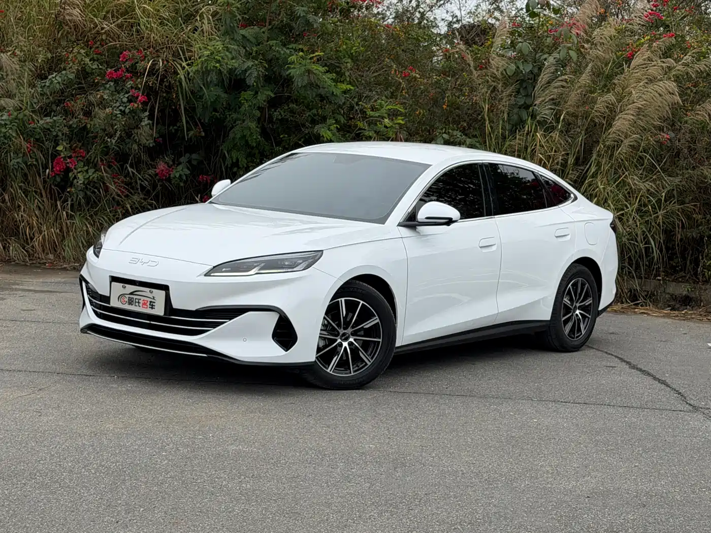 BYD SEAL 06 NEW ENERGY