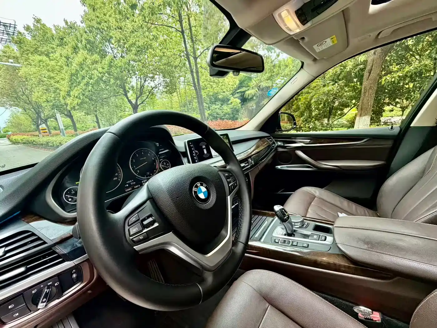 BMW X5 (Import) 2018 xDrive35i Elegant Model фото 4