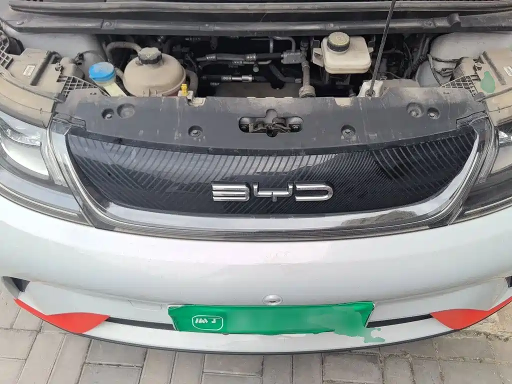 BYD Dolphin 2021 2021 405km Freedom Edition