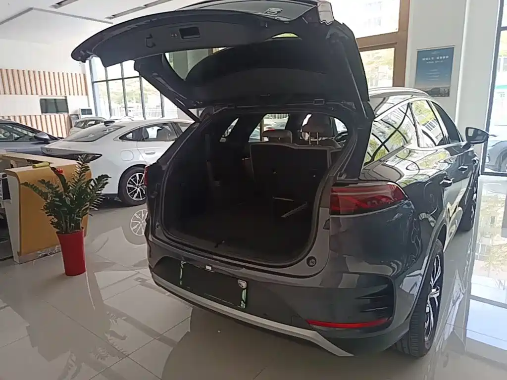 BYD Tang New Energy 2025 2025 Smart Driving Edition DM-i 115KM Flagship