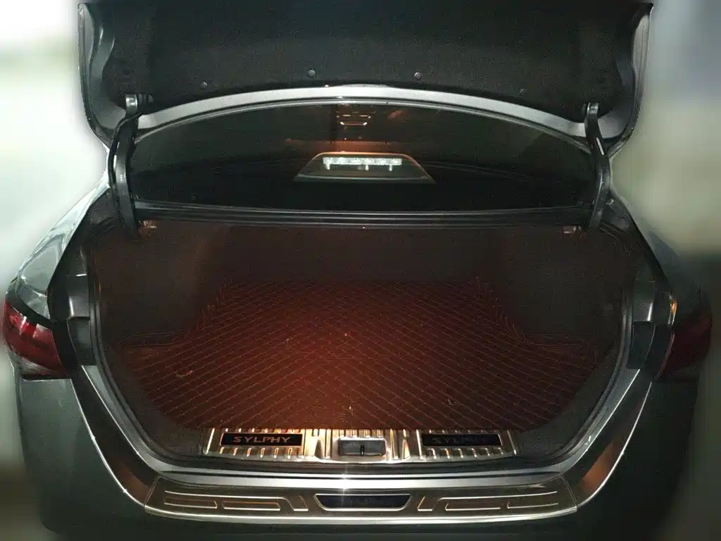 صورة 15 - Nissan Sylphy