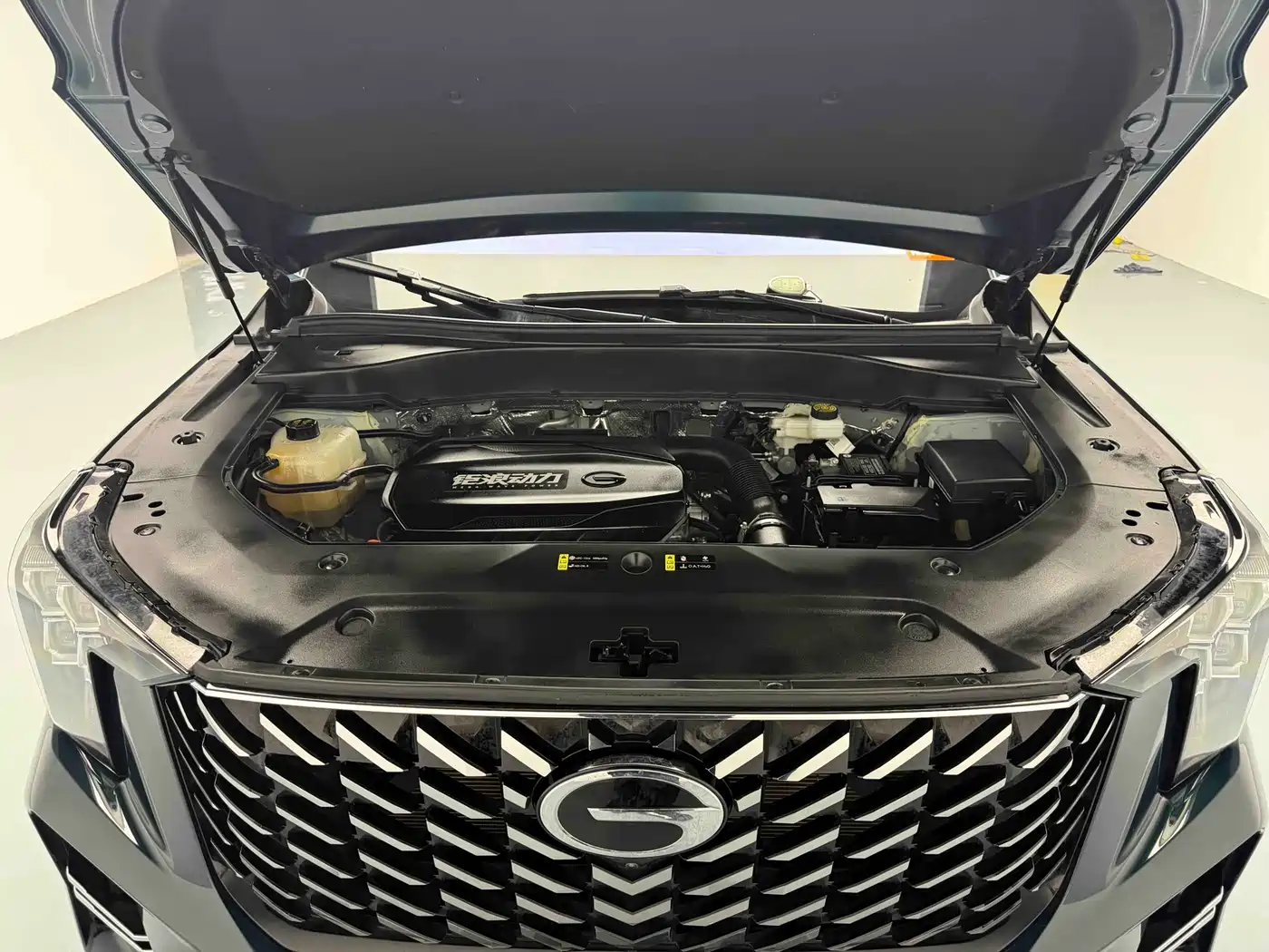 GAC Trumpchi Trumpchi GS8 2025 Pilot Series 2.0TGDI 2WD Luxury Edition 5-seater фото 9