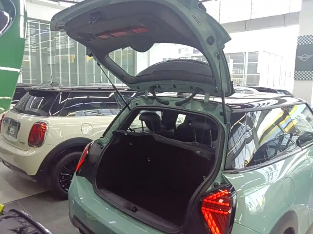MINI MINI 2025 2025 2.0T COOPER S Artist
