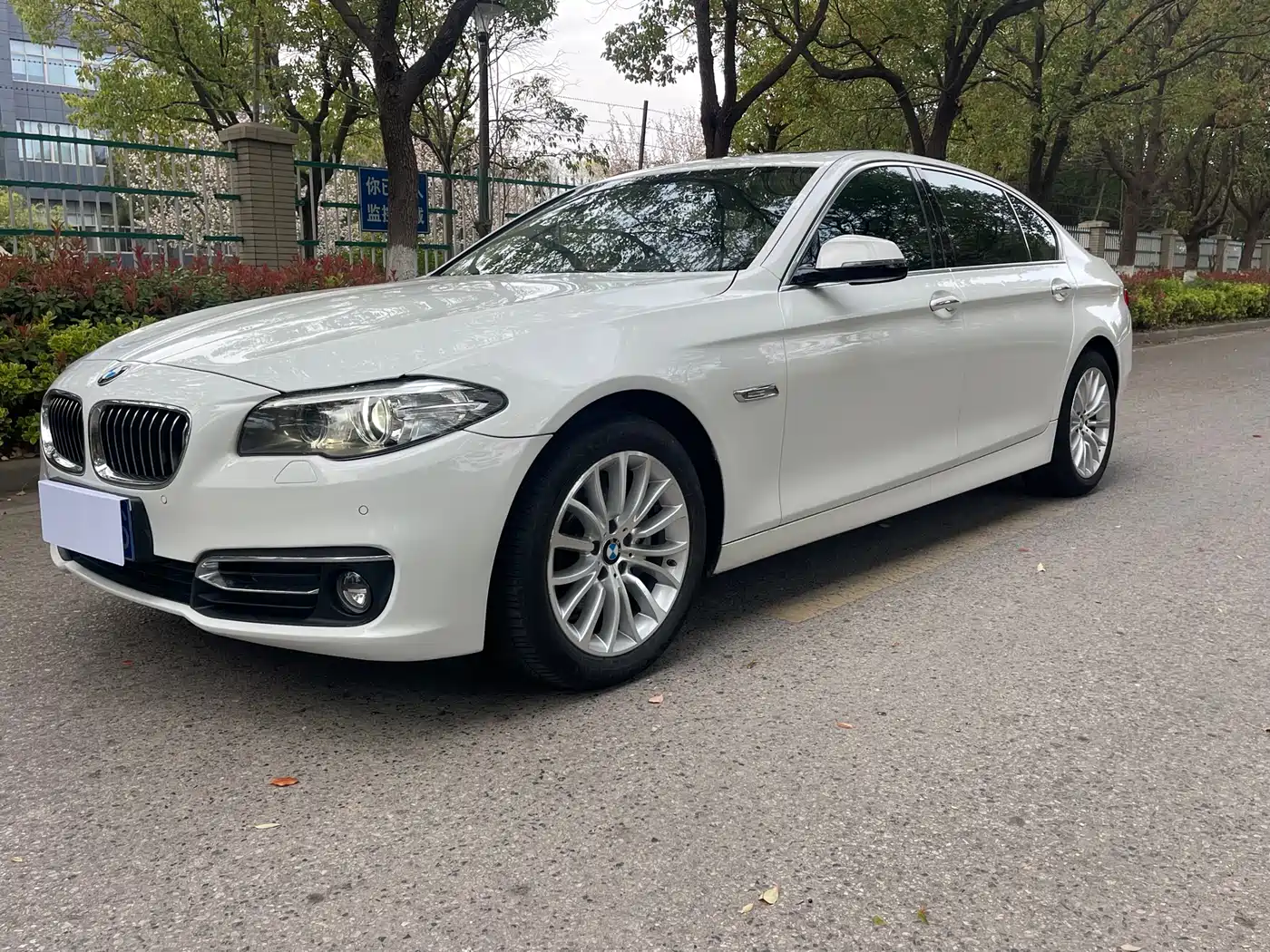 BMW 5 Series 2014 525Li Luxury Design Package