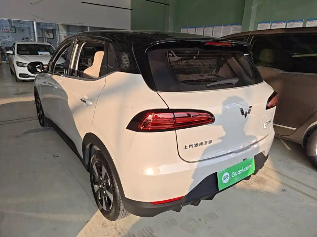 Wuling Motors Wuling Binguo PLUS 2025 2024 Model 330km 5-Seater