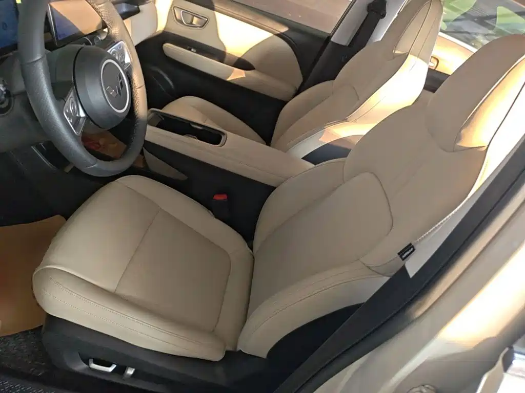 صورة 15 - Wuling Motors Wuling Binguo PLUS