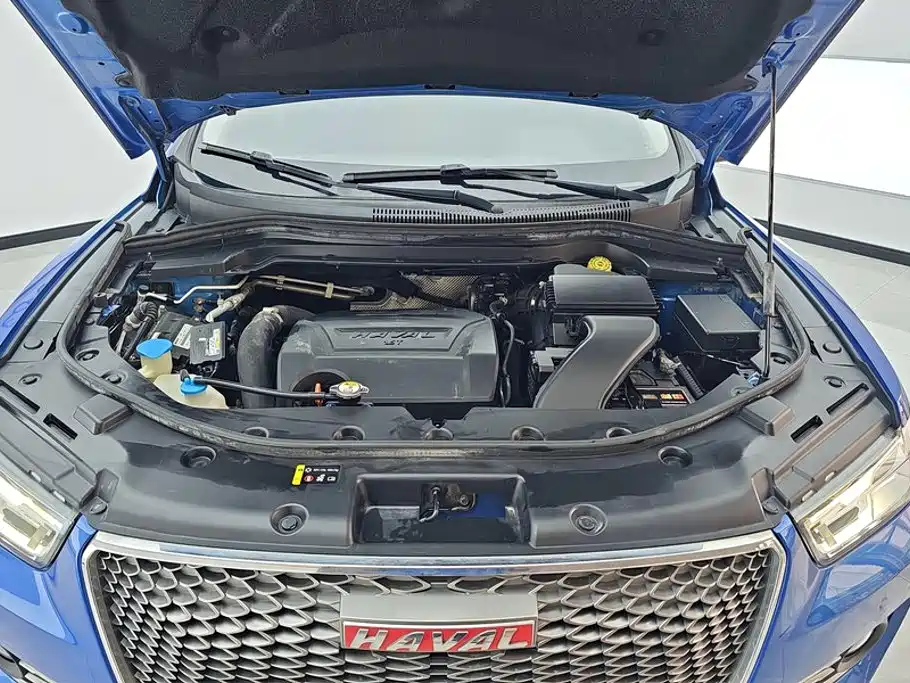 Haval H2s 2018 2018 Red Label 1.5T DCT Smart Elite Type