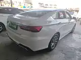 Фото 7 - Geely Binrui