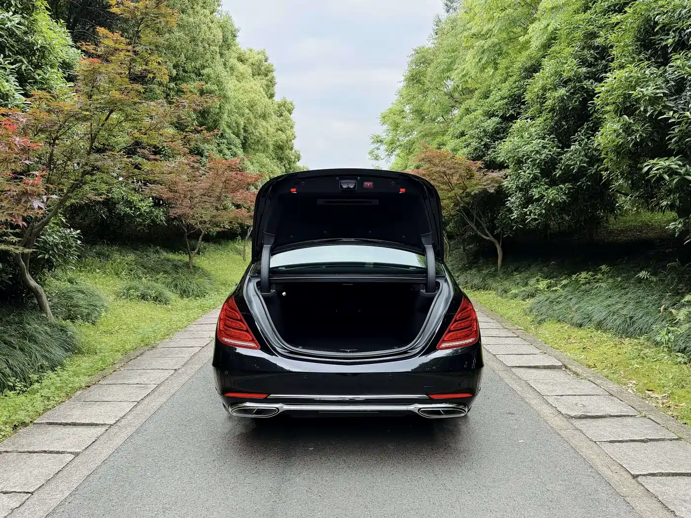 Mercedes-Benz S-Class 2016 S 320 L Luxury фото 5