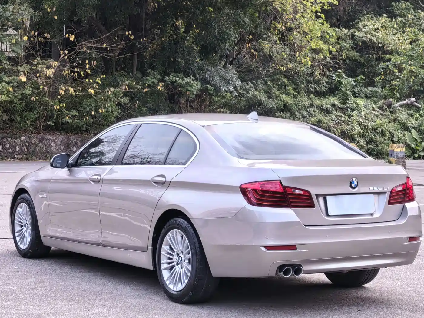 BMW 5 Series 2014 525Li Leading фото 12
