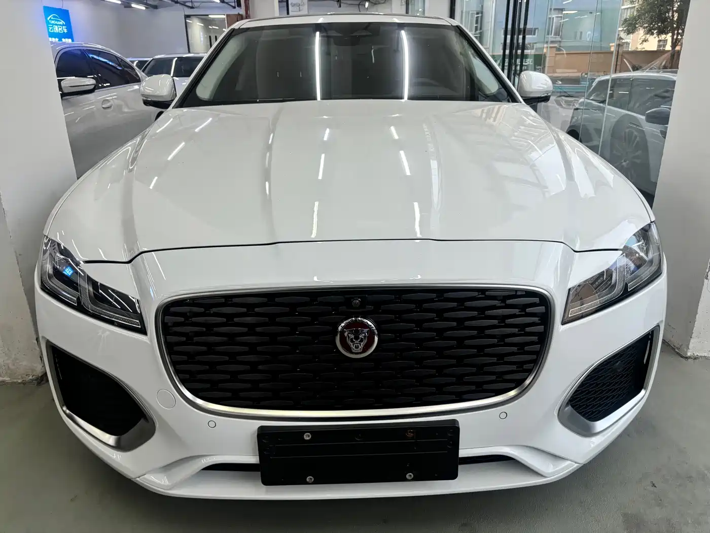 Фото 2 - Jaguar XFL