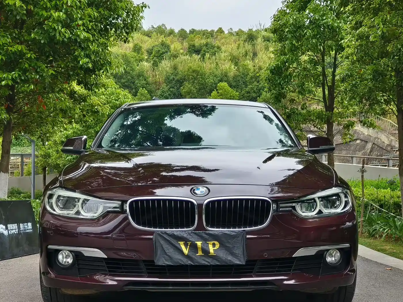 BMW 3 Series 2016 320Li Fashion Model фото 2