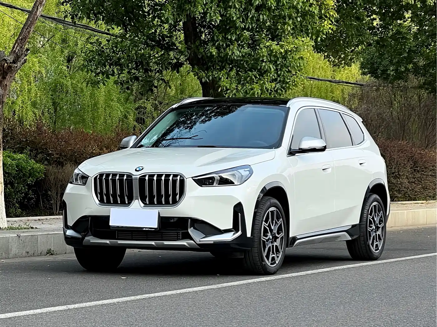 BMW X1 2023 sDrive25Li X Design Package